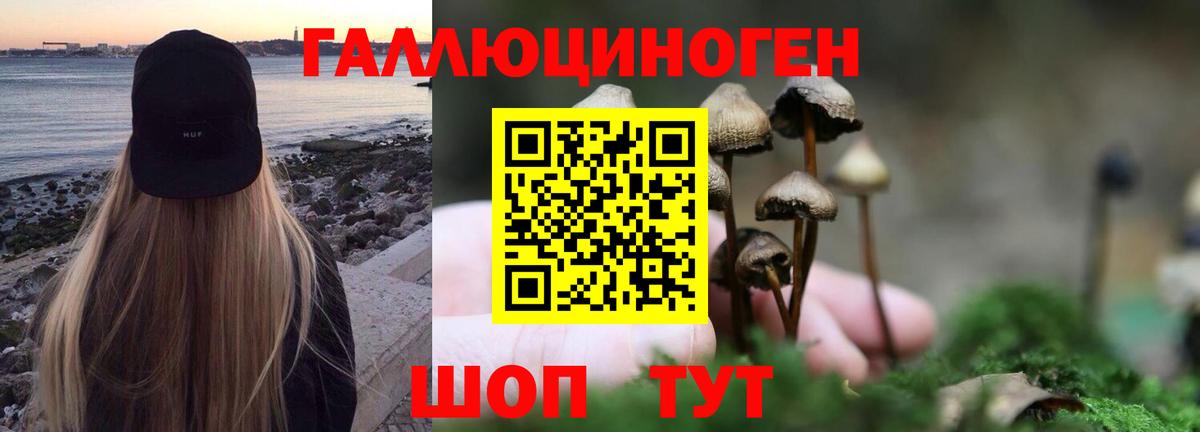 Губкинский  Галлюциногенные грибы Magic Shrooms  наркота  Вход с VPN 